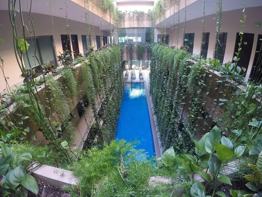 Palmarena Studio 307 Playa del Carmen 0*,